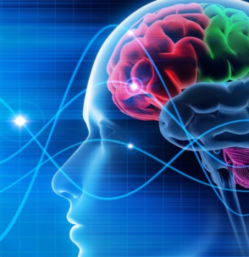 Hypnotherapie - Regressie -  Magnetiseren (4x sessie)